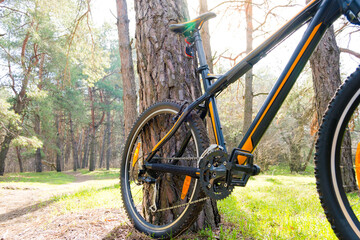 Fototapeta premium Mountain Bike on the Summer Trail in the Beautiful Pine Forest Lit by the Sun. Adventure and Cycling Concept.