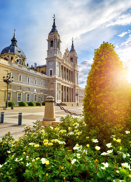 Madrid, Spain. Cathedral Santa Maria la Real de la Almudena at Plaza de la Armeria. Famous landmark with sunset sun flowers and green bush.