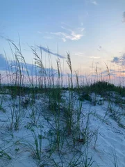 Photo sur Plexiglas Clearwater Beach, Floride beach sand dune at sunset