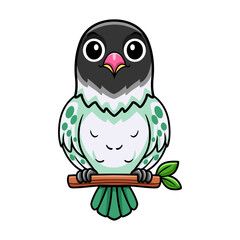 Cute agapornis malta lovebird cartoon on tree branch