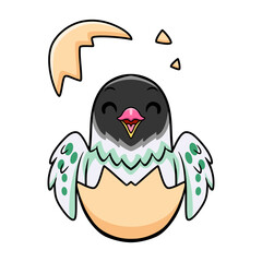 Cute agapornis malta lovebird cartoon inside from egg