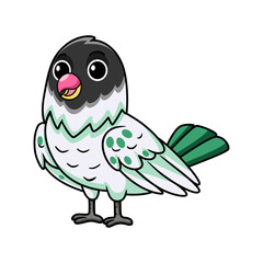 Cute agapornis malta lovebird cartoon