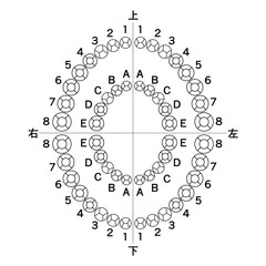 歯科診療記録（カルテ）用　楕円形に並んだシンプルな歯の図