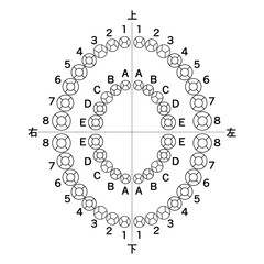 歯科診療記録（カルテ）用　楕円形に並んだシンプルな歯の図