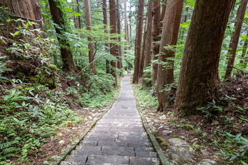 「出羽三山神社（羽黒山）の修験道」 in 山形県鶴岡市