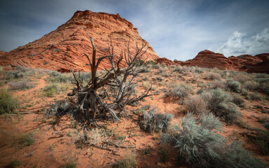 Coyote Buttes | Paw Hole Teepees, Coyote Buttes South, Paria Canyon-Vermilion Cliffs Wilderness,...