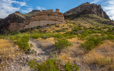 Lower Burro Mesa Pour-off Trail | Big Bend National Park, Texas, USA