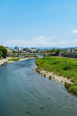 Fototapeta premium 鴨川の風景・京都