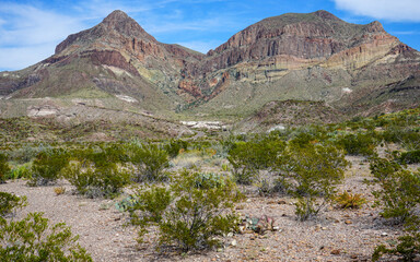 Goat Mountain | Big Bend National Park, Texas, USA