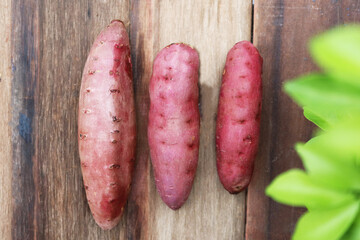 Size of fresh red sweet potatoes on wood texture background