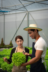 African american couple checking data on clipboard and holding box of salad vegetable hydroponics