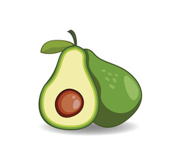 avocado , Healthy Design concept ,fresh avocado vegetable, Vector Illustration.