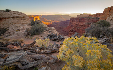 Morning at Canyonlands | Shafer Canyon, Island in the Sky, Canyonlands National Park, Utah, USA