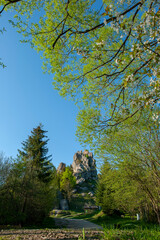 A beautiful panorama of rocks and young trees from the top of the National Reserve. Spring in the morning forest.