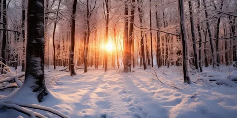 Foto op Aluminium winter solstice in isolated snowy forest after snow fall. Beautifully natural winter scene, blizzard trees, snow,Generative AI. © tope007