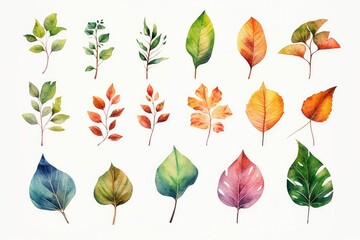 set of leaves