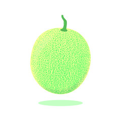 melon vector illustration,isolated  on white background.suitable for icon,wallpaper,sticker,etc.