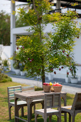 bread and fruit on the table in the garden.  image selective focus