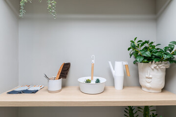 Set of gardening tools isolated. gardening tools for succulents, and lots of plants.