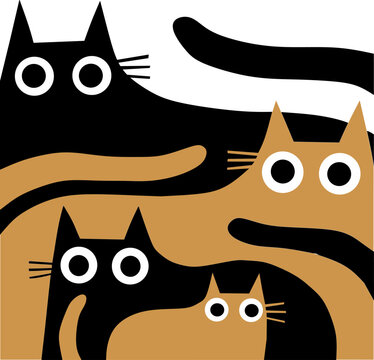 set of funny cats animals
