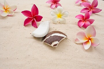 Close up Pink plumeria flowers on sand beach                               