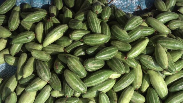 Pointed gourd a kind of kitchen vegetable sell on market.