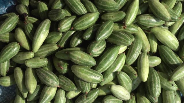 Pointed gourd a kind of kitchen vegetable sell on market.