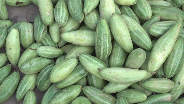 Pointed gourd a kind of kitchen vegetable sell on market.