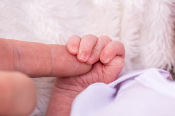 sweet tiny new born baby hand hold mum index finger. concept relationship between mother or parants and baby