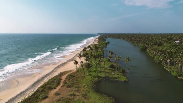 Tropical landscape with blue sky and palm trees. Beautiful beach Kappil, Varkala, Kerala state, South India.