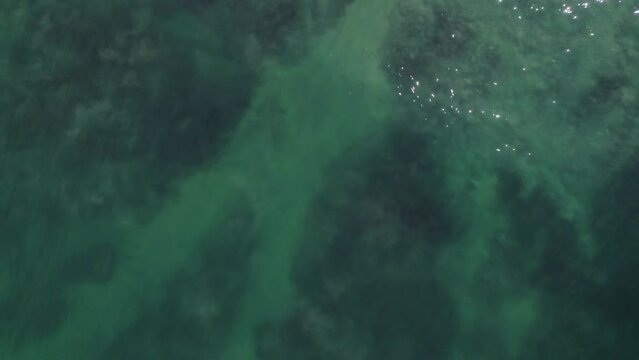 Overhead View Of Clear Water With Rocky Seabed In Wenonah Head Peninsula In Urunga, NSW, Australia. - aerial