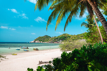 Tropical  beach and coconut tree at koh tao