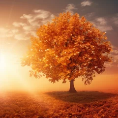 Foto auf Acrylglas Backstein Yellow autumn tree
