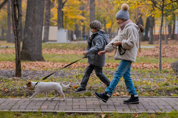 Fototapeta premium Brother and sister walk the dog in the park in autumn. Boy and girl running with jack russell terrier on a leash. 