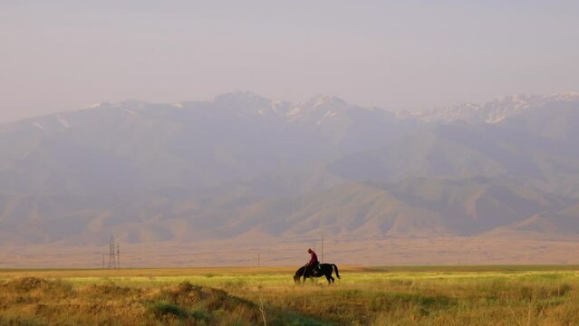 Central Tien Shan. Foothills. Rider on a wild horse. Wall of mountains in the background, steppe in the foreground. Golden hour photography