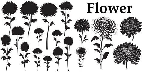 A set of  black flower vector illustration