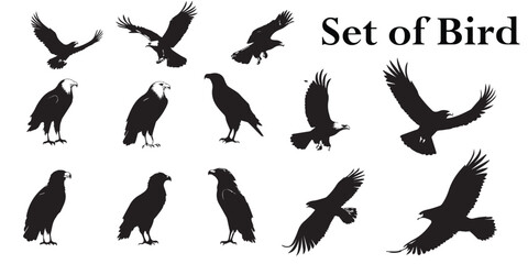 A set of silhouette bird vector illustration