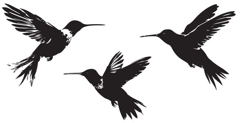 A set of Silhouette Kingfisher Bird Vector illustration