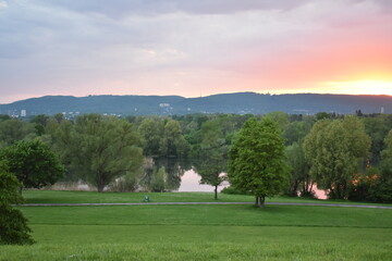 Fototapeta na wymiar Park-Natur-Bäume-Sonnenuntergang-Sommer-Kassel