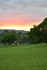 Fototapeta premium Park-Natur-Bäume-Sonnenuntergang-Sommer-Kassel