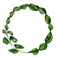 Fototapeta premium Watercolor illustration of frame from green ruscus branches with leaves for wedding, birthday, greeting card, menu, banner, border, stickers. Elements isolated on white background.