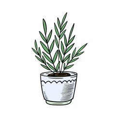 Green color houseplant in a pot. Hand drawn sketch art.