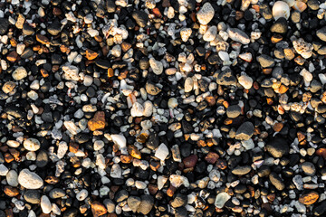 Small white and black pebble background on the beach. Background nature, geology. Cobblestone background. Cover image