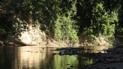 Landscape of a river with trees and rocks in the background.