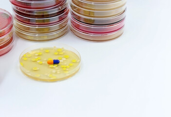 A Petri dish with colonies of bacteria and a pill or medicine in the microbiology laboratory. Space for text. Concept of resistance of bacteria to antibiotics