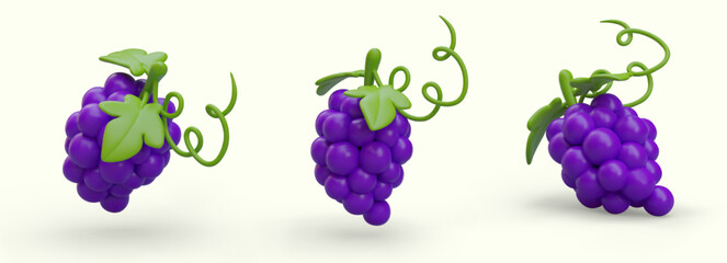 Isometric bunches of ripe purple grapes. Grape bunches with leaves and tendrils. Modern cartoon illustration with shadows. Vector object from different sides