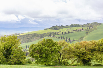 Rural countryside view with a winding road on a hill