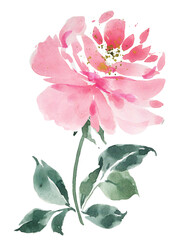 Garden rose abstract illustration, Pink flower watercolor. Vintage card.