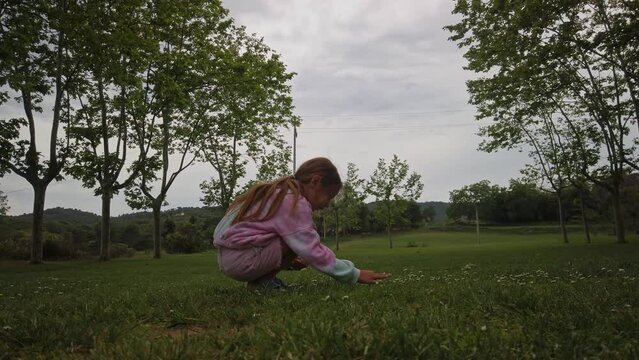 A young girl picking flowers in green meadow and dog in the background