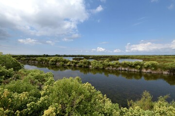 Bassin d'Arcachon, marais à Audenge